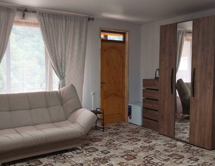 Номер делюкс семейный - Отель «Радоновый источник» Ткварчели