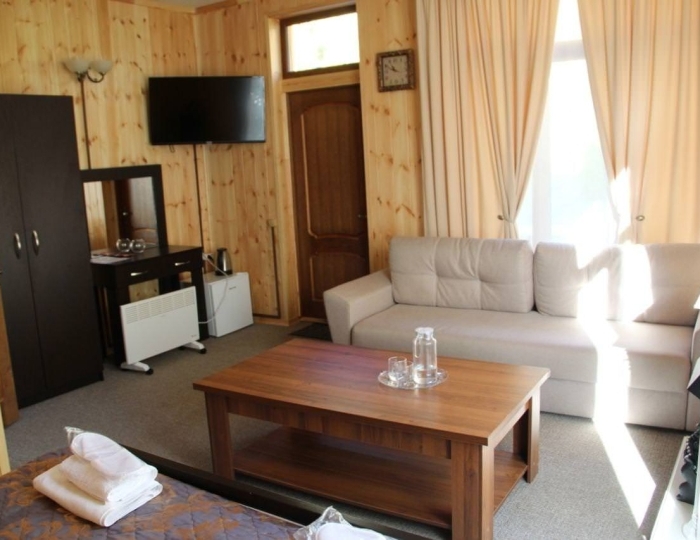 Номер делюкс премиум - Отель «Радоновый источник» Ткварчели