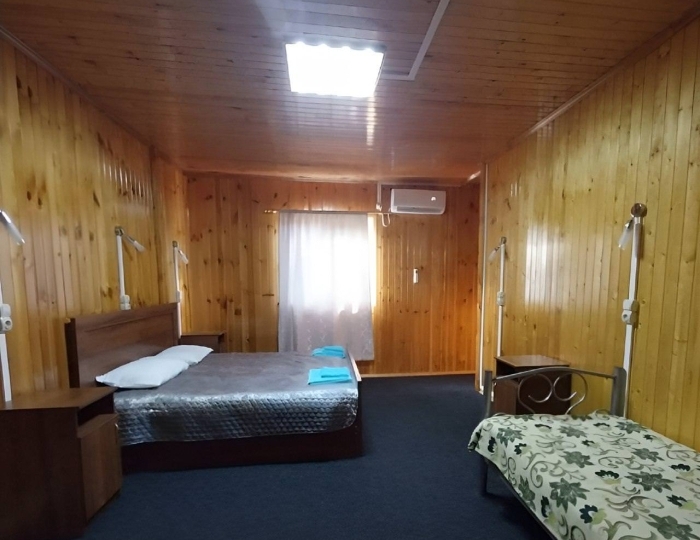 Номер стандарт семейный с 1 двуспальной кроватью - Отель «Радоновый источник» Ткварчели